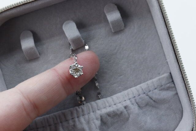 キャンドゥのアクセサリーケース