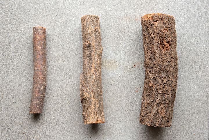 【まとめ記事】焚き火を極めたプロが「薪」について徹底解説！