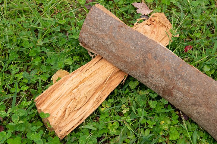 【まとめ記事】焚き火を極めたプロが「薪」について徹底解説！