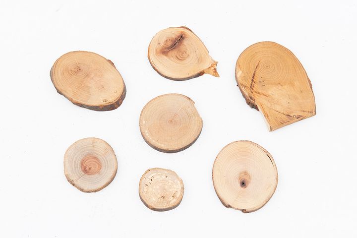 【まとめ記事】焚き火を極めたプロが「薪」について徹底解説！