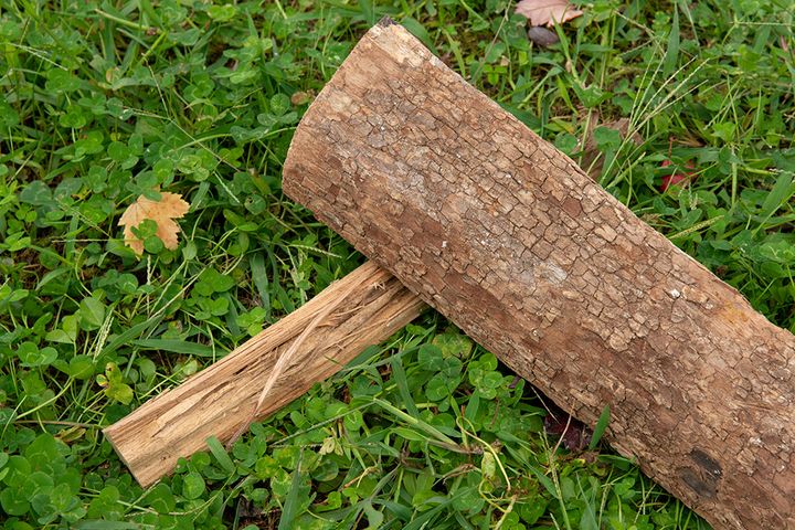 【まとめ記事】焚き火を極めたプロが「薪」について徹底解説！