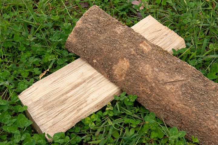 【まとめ記事】焚き火を極めたプロが「薪」について徹底解説！