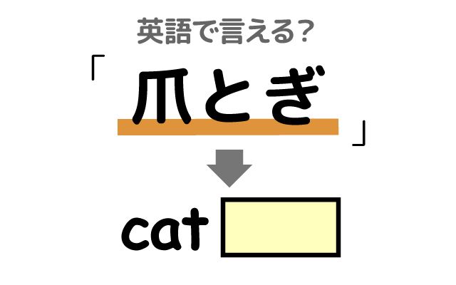 英語で【爪とぎ】は何て言う？「爪とぎポール」などの英語もご紹介