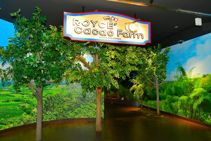 カカオファームゾーン入口