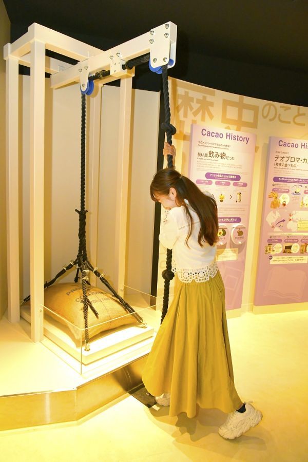 カカオ豆袋の重さを体験