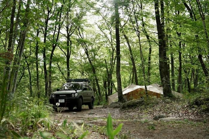 LOGのブランドイメージ