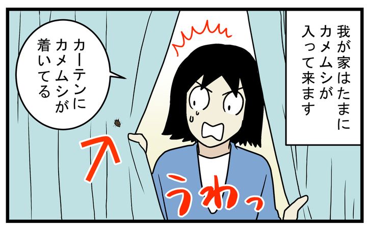 本当に臭い？ 強烈な悪臭で知られている「カメムシ」の匂いを感じたことがない私【こどもと見つけた小さな発見日誌 Vol.69】