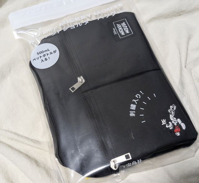 袋に入ったショルダーバッグ