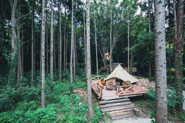 「圧倒的に使い勝手が良すぎる…！」ogawaの最新テント全6モデルが優秀すぎた…