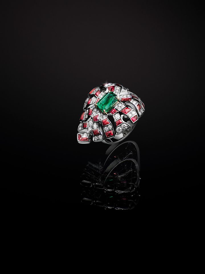 240207_6_LOUIS_VUITTON_HIGH-JEWELLERY_DEEP_TIME_II_STILL-LIFE_RING_PLANTS.jpg