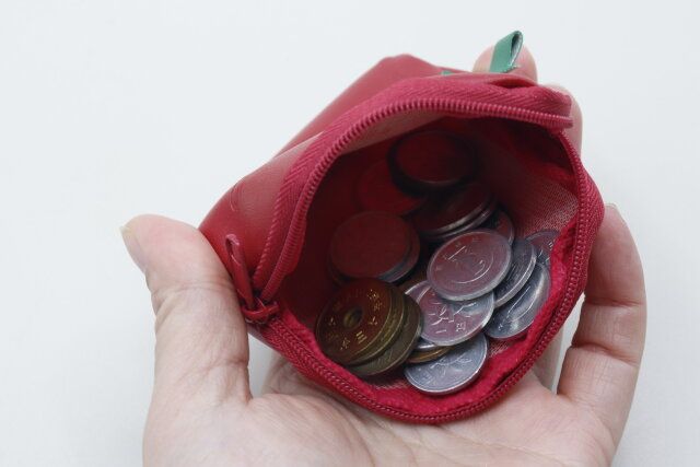 セリアの合皮ダイカットコインケース イチゴ柄の使用例