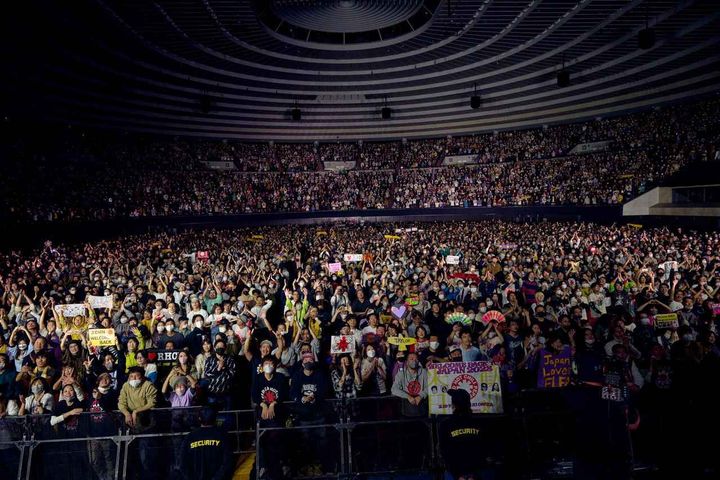 画像2: チャドから日本愛あふれるインタビューが到着！