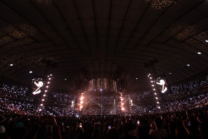 ２_Credit Mark Surridge -1017.jpg