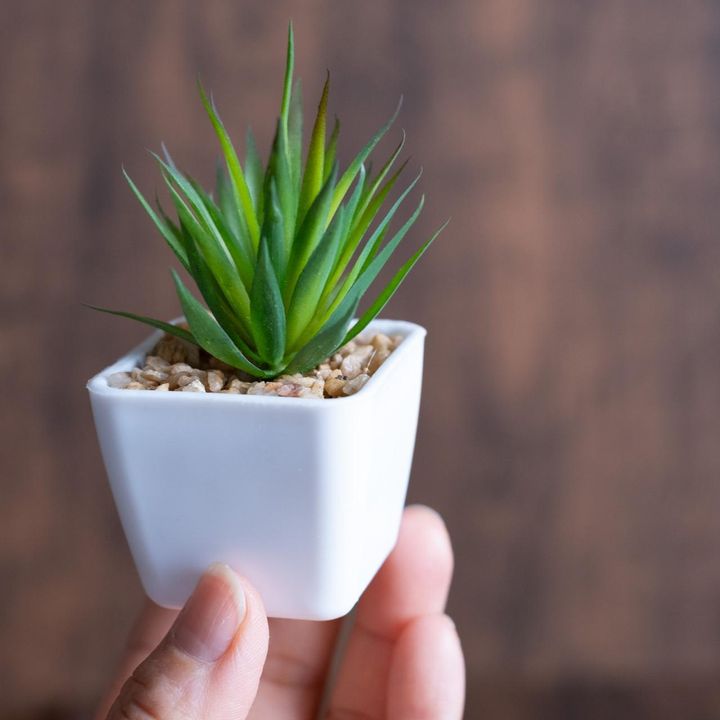 画像2: 出典：ftn_pics