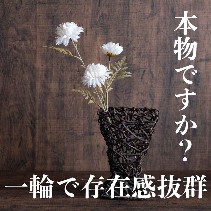 画像4: 出典：ftn_pics