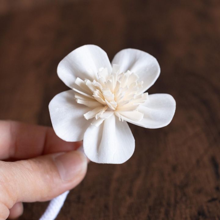 画像1: 出典：ftn_pics