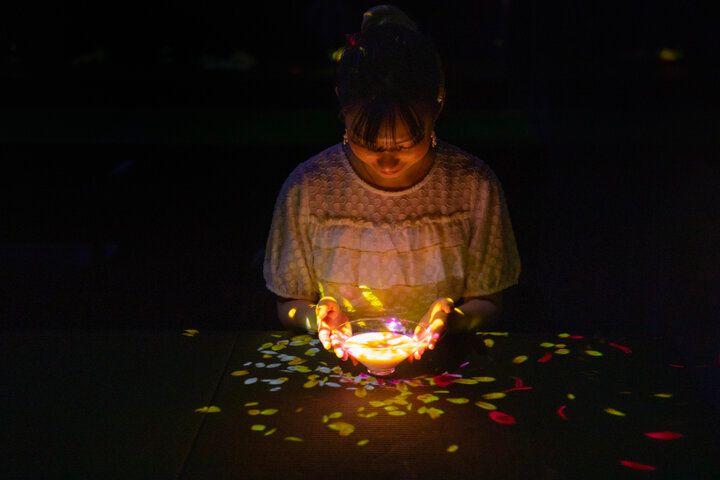 麻布台ヒルズに移転した「森ビル デジタルアート ミュージアム：エプソン チームラボボーダレス」で、幻想的な作品世界に溶け込もう