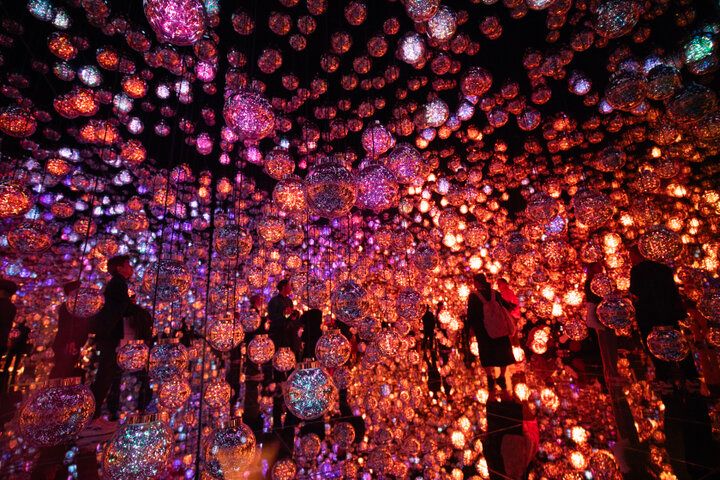 麻布台ヒルズに移転した「森ビル デジタルアート ミュージアム：エプソン チームラボボーダレス」で、幻想的な作品世界に溶け込もう