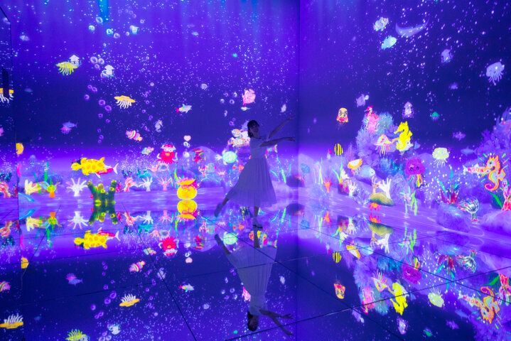 麻布台ヒルズに移転した「森ビル デジタルアート ミュージアム：エプソン チームラボボーダレス」で、幻想的な作品世界に溶け込もう