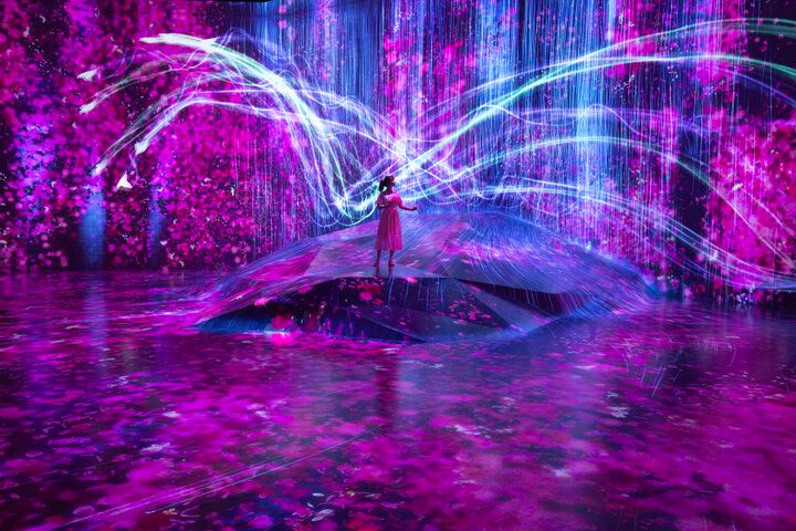麻布台ヒルズに移転した「森ビル デジタルアート ミュージアム：エプソン チームラボボーダレス」で、幻想的な作品世界に溶け込もう