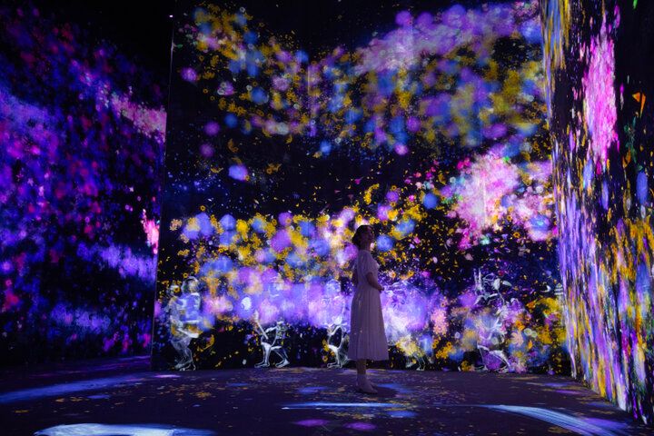 麻布台ヒルズに移転した「森ビル デジタルアート ミュージアム：エプソン チームラボボーダレス」で、幻想的な作品世界に溶け込もう