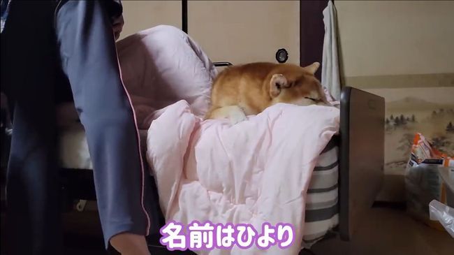 認知症のひいばあばがベビーと対面。その奇跡に「感動！」「涙が止まらない」？