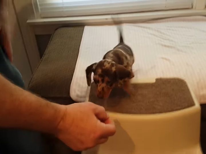 おやつが食べたい！