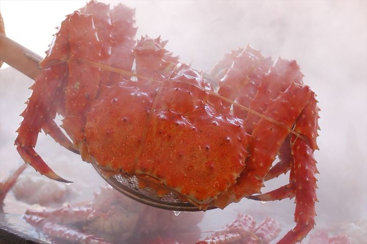 「好きなカニの種類」のアンケート結果は…