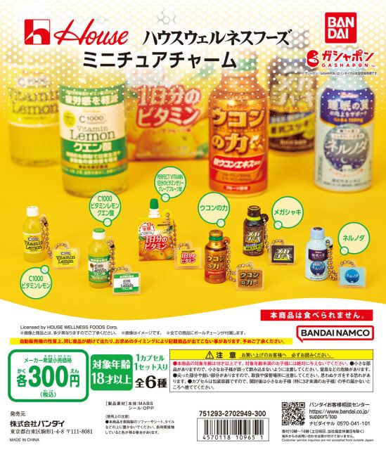 ハウスウェルネスフーズ ミニチュアチャームの商品情報
