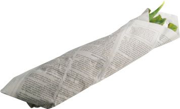 フードコーディネーターさんちの冷蔵庫の中ってどうなってるの？ お手本冷蔵庫「野菜室＆冷凍庫」を拝見！の画像8