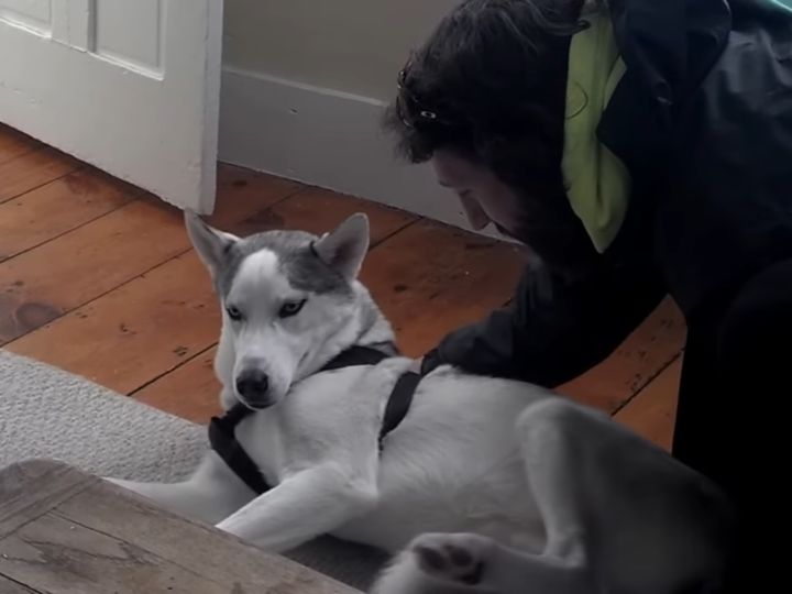 絶対に動きたくない！？