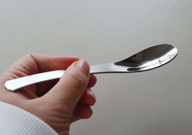 ダイソーの燕製ステンレススプーン