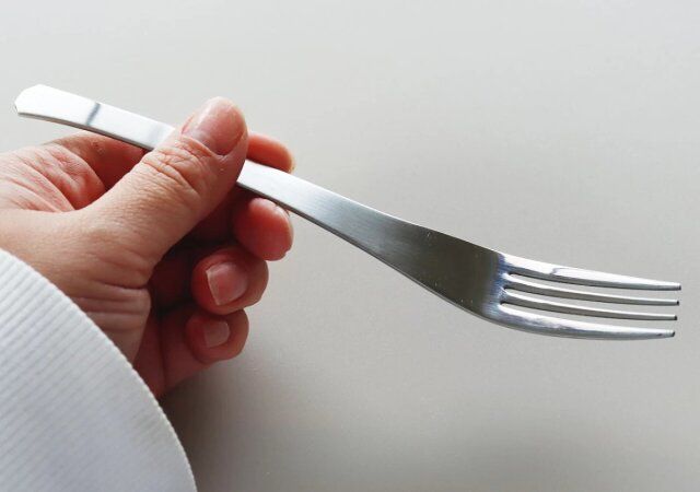 ダイソーの燕製ステンレスフォーク