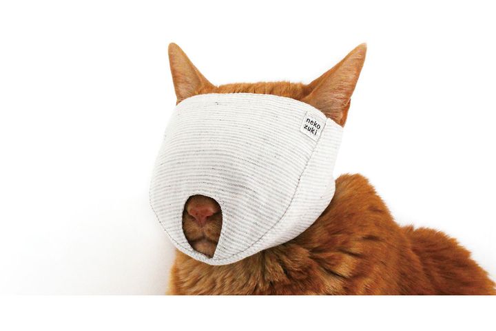 愛猫家の困り事を解決するグッズ「もふもふマスク」