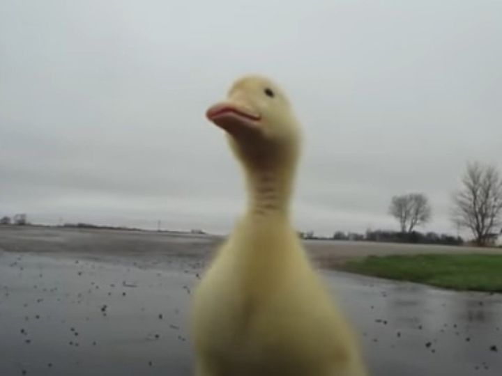 こんなに速いなんて！