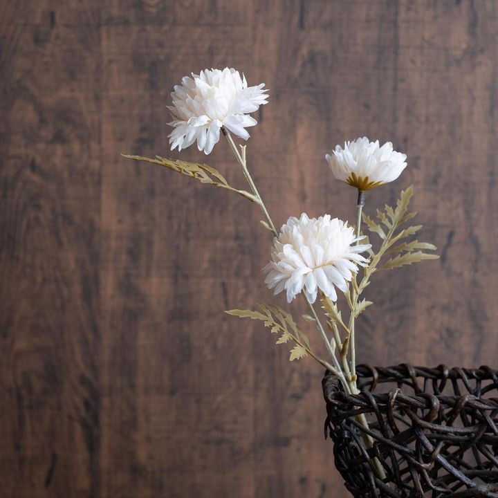 画像1: 出典：ftn_pics