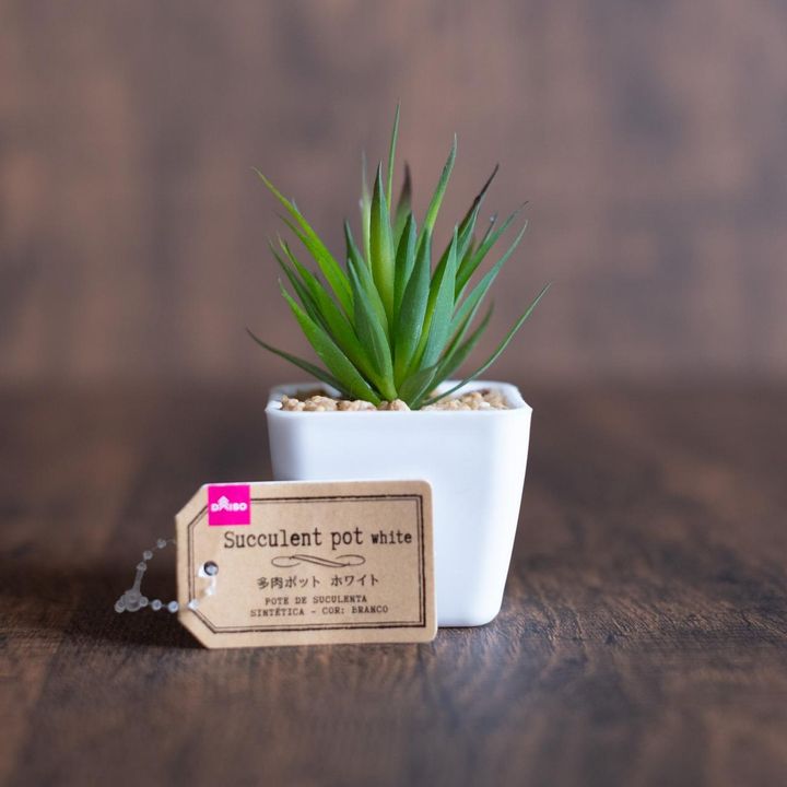 画像2: 出典：ftn_pics