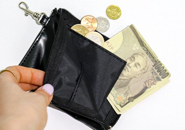 モノマックス3月号のミニ財布付録レビュー