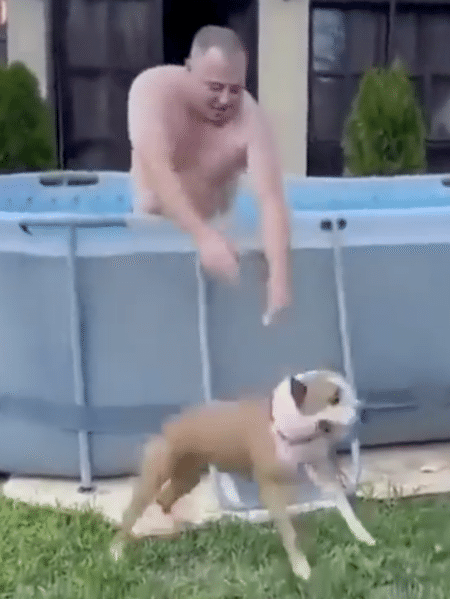 プールは終わりだってば！ 何度も入ろうと戻ってくる犬さんが笑える！