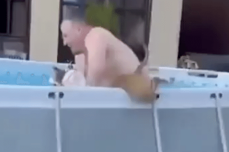 プールは終わりだってば！ 何度も入ろうと戻ってくる犬さんが笑える！