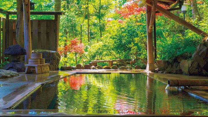宮城〈旅館 大沼〉露天風呂
