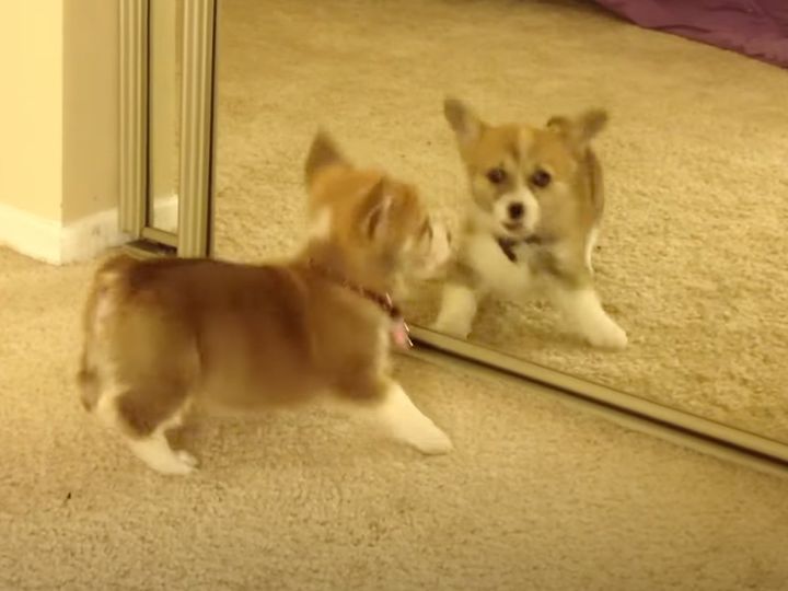 新しい友達！？