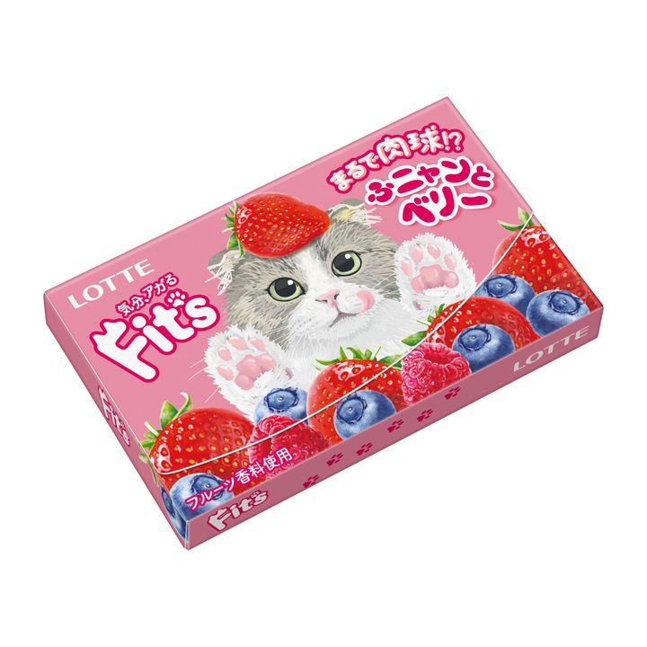 新商品「Fit's＜ふニャンとベリー＞」
