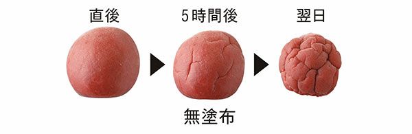 無塗布／直後、5時間後、翌日