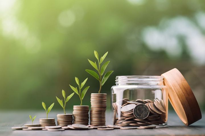 段々育っていく苗木と投資のイメージ