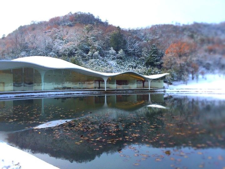 お土産・ギフト・お祝い・なんでもOK！岐阜県ツバメヤの「ツバメあんこサブレ」セット【旅するデザイナーがおすすめする旅先でのお土産たち！】