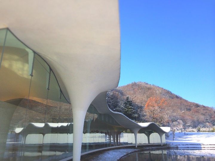 お土産・ギフト・お祝い・なんでもOK！岐阜県ツバメヤの「ツバメあんこサブレ」セット【旅するデザイナーがおすすめする旅先でのお土産たち！】