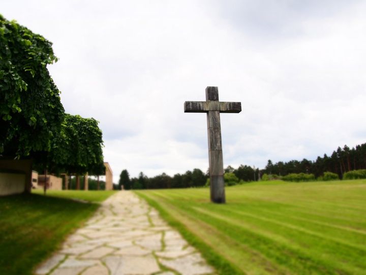 お土産・ギフト・お祝い・なんでもOK！岐阜県ツバメヤの「ツバメあんこサブレ」セット【旅するデザイナーがおすすめする旅先でのお土産たち！】