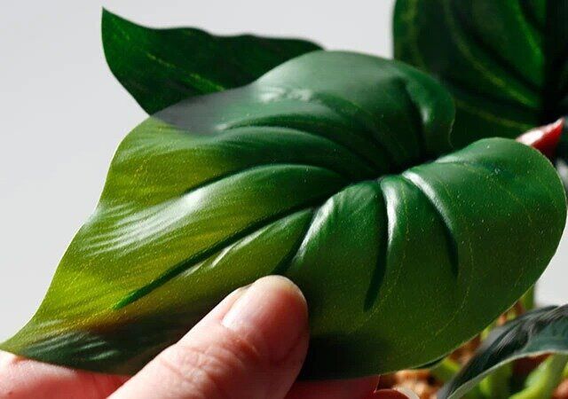 ダイソーのリアルなフェイクグリーン