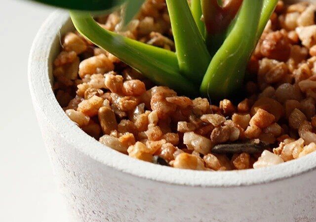 ダイソーのリーフポット（グリーン）は根元まで本物そっくり